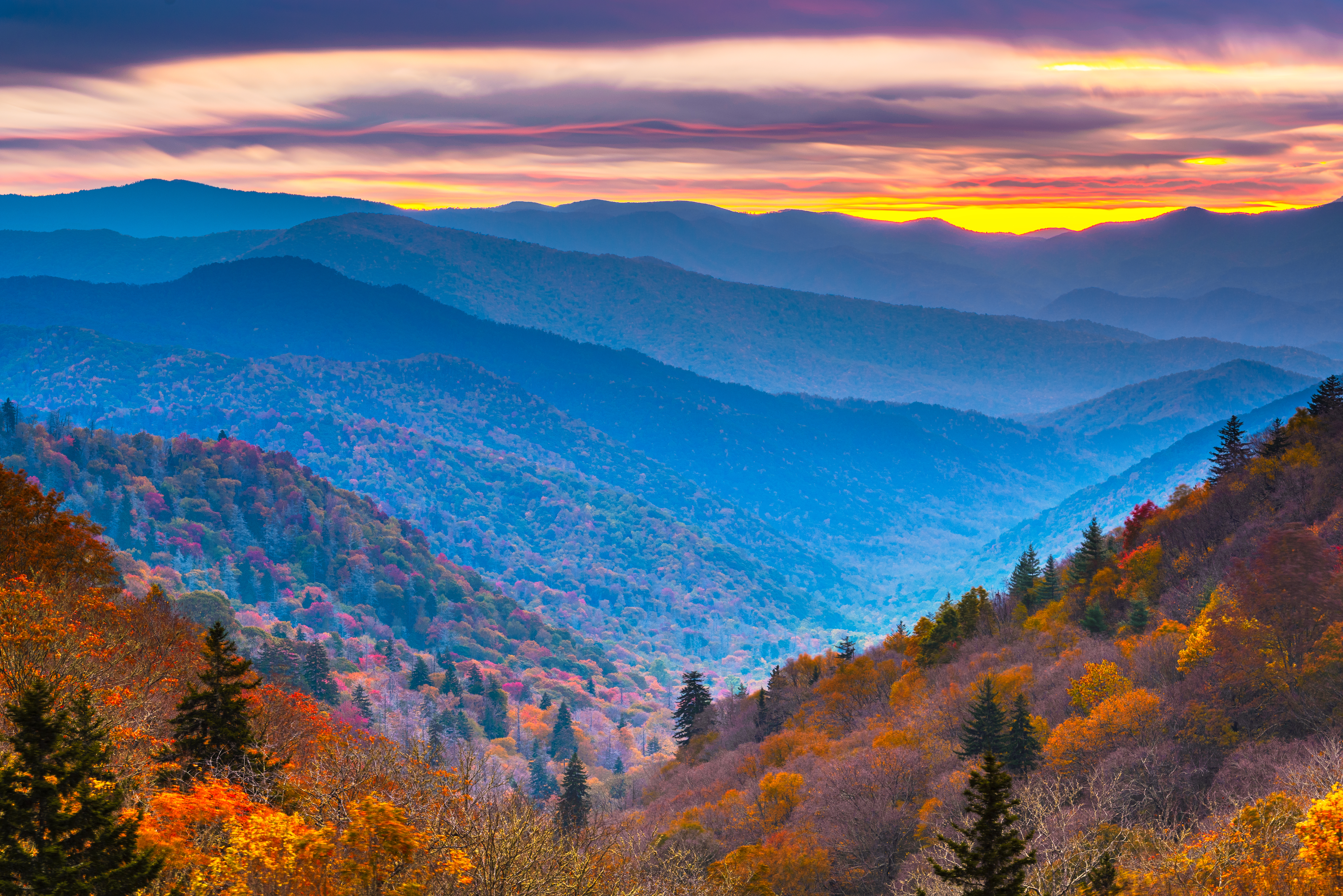 shutterstock_1586859637.jpg